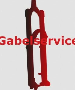 FOX 36 Federgabelservice