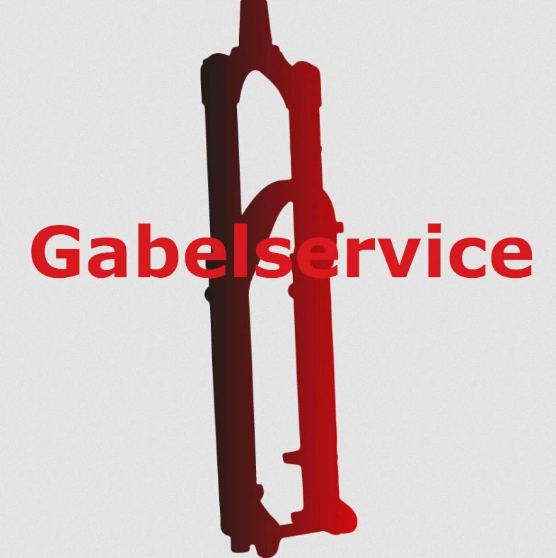 FOX 34 Federgabelservice 1 FOX 34 Federgabelservice